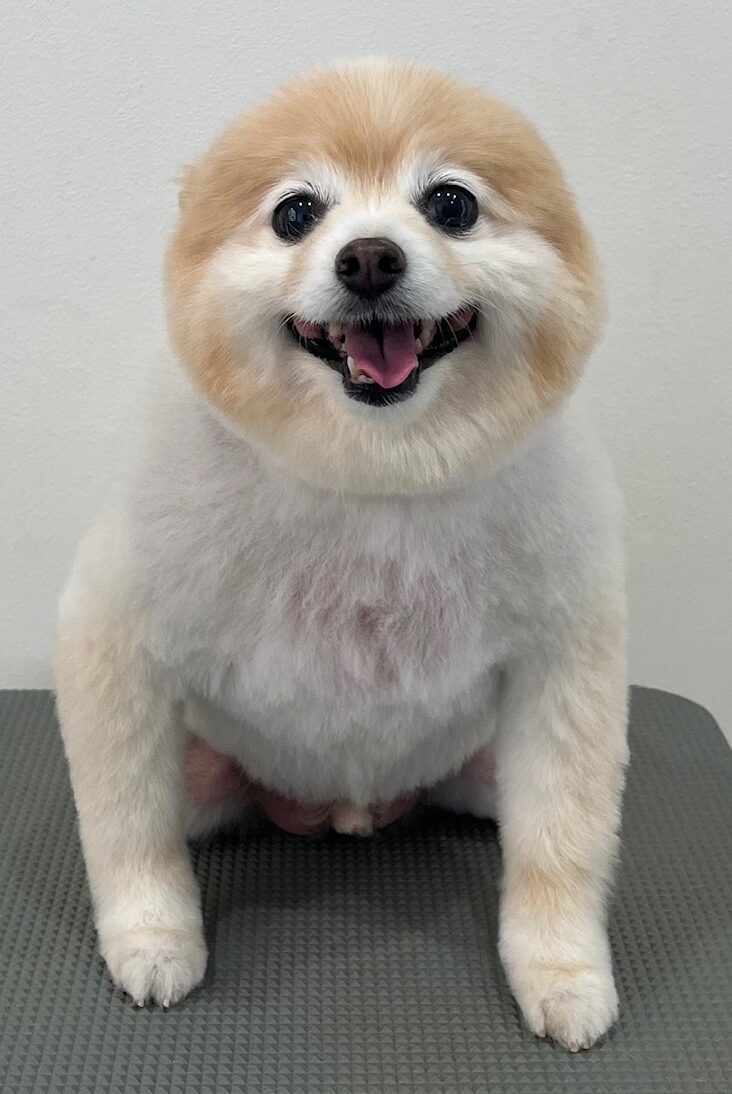 2026-3-2%e5%92%8c%e7%94%b0%e3%83%ac%e3%82%aa