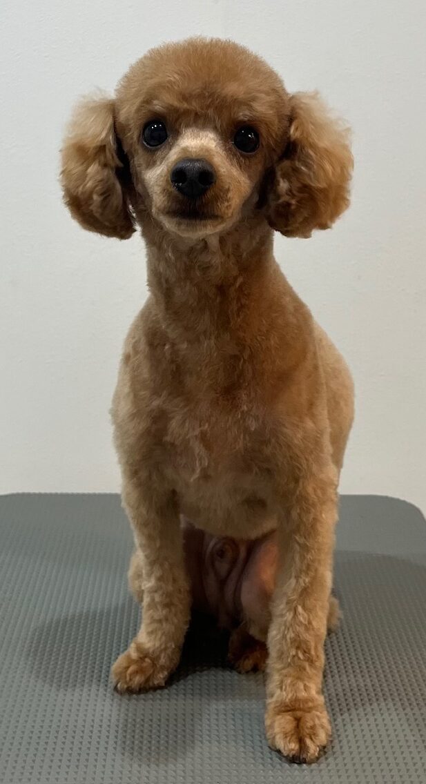 2026-3-2%e5%9f%8e%e5%b3%b6%e3%83%97%e3%83%97