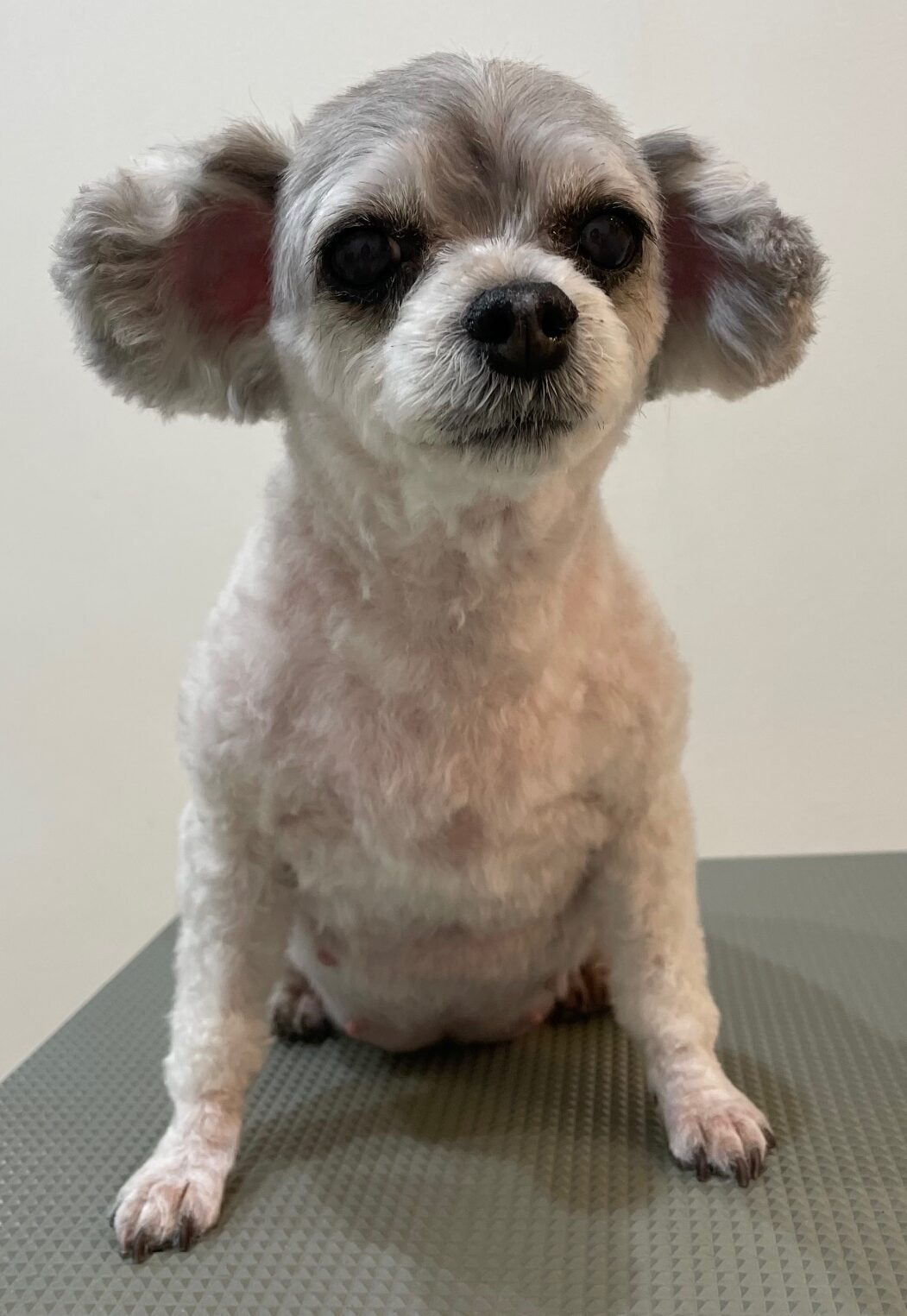 2026-3-2%e5%bb%a3%e7%94%b0%e3%81%82%e3%82%93%e3%81%aa