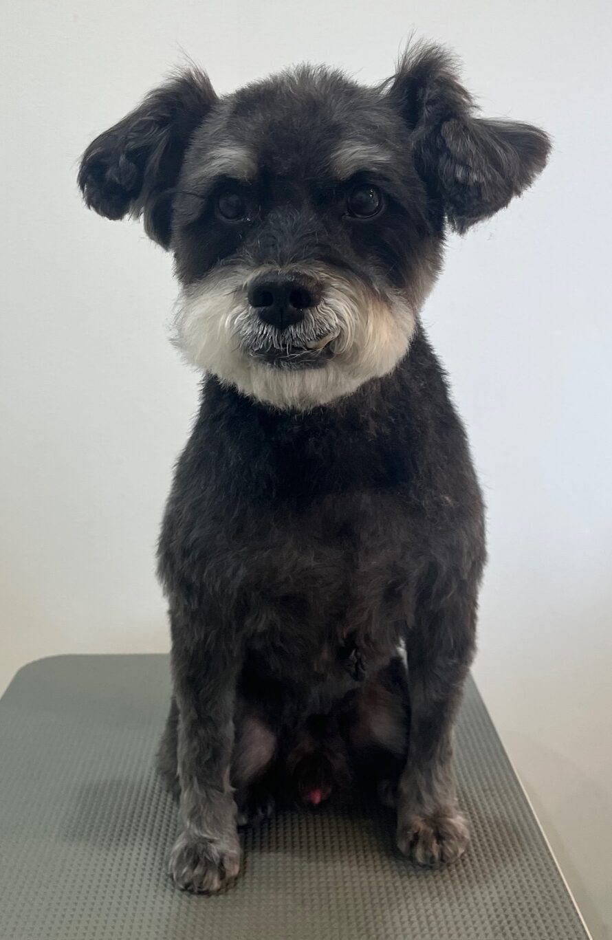 2026-3-3%e4%bd%90%e5%ae%97%e3%81%8f%e3%82%8d%e3%81%be%e3%82%8d