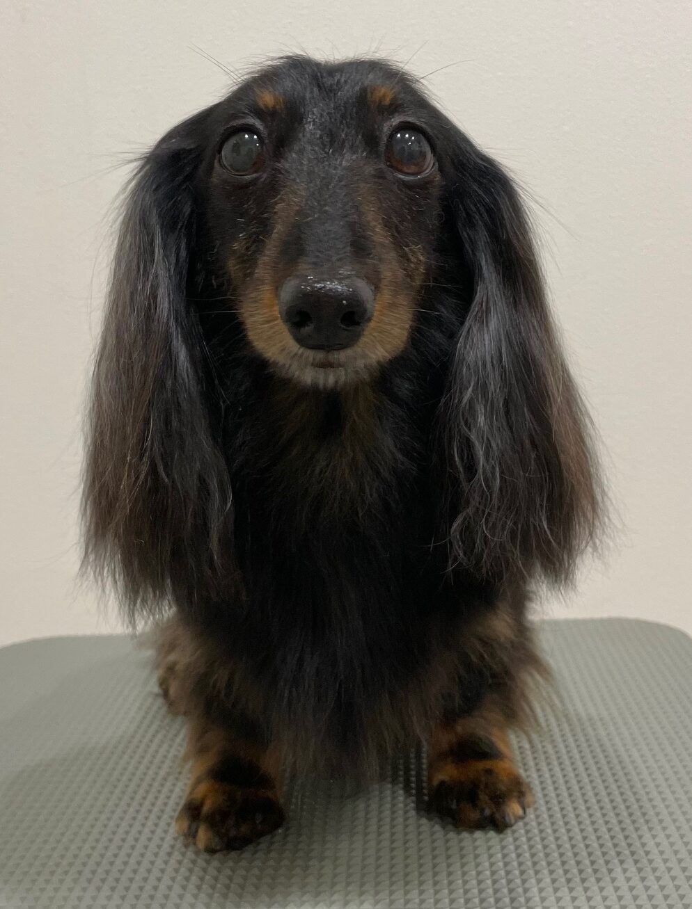 2026-3-3%e5%af%ba%e7%94%b0%e3%81%8a%e3%82%88