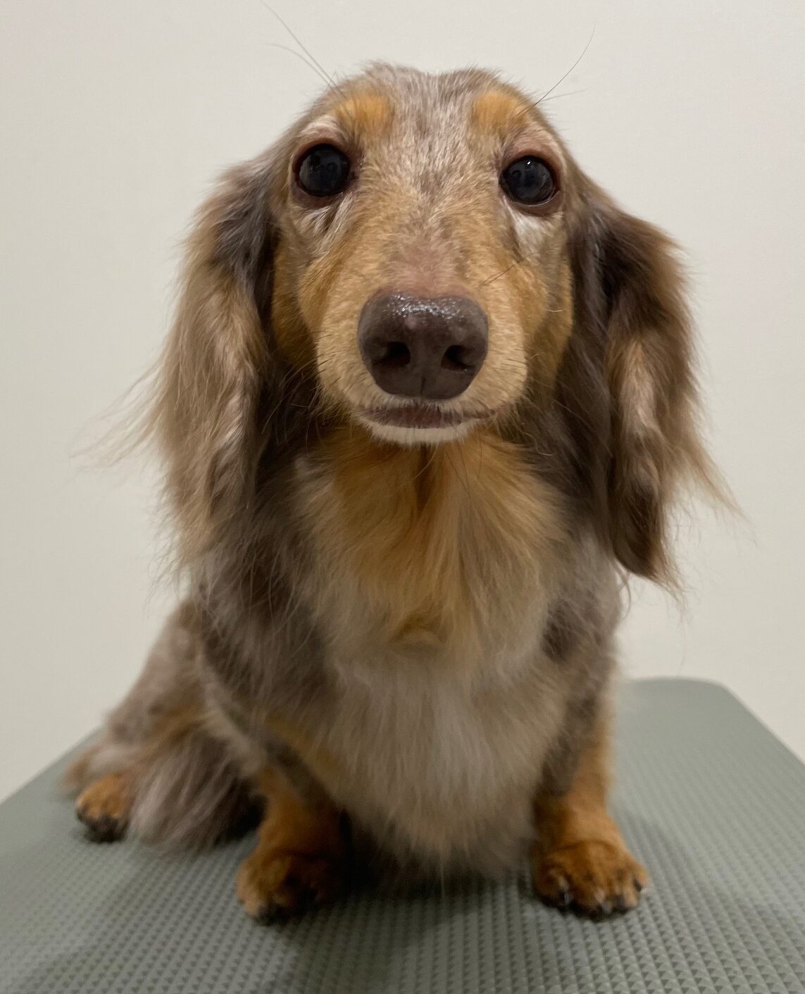 2026-3-3%e5%af%ba%e7%94%b0%e3%81%be%e3%82%8d