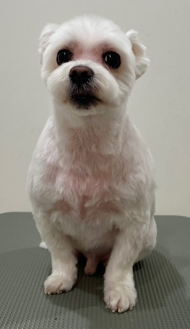 2026-3-3%e5%b2%a9%e8%a6%8b%e5%a4%a7%e7%a6%8f