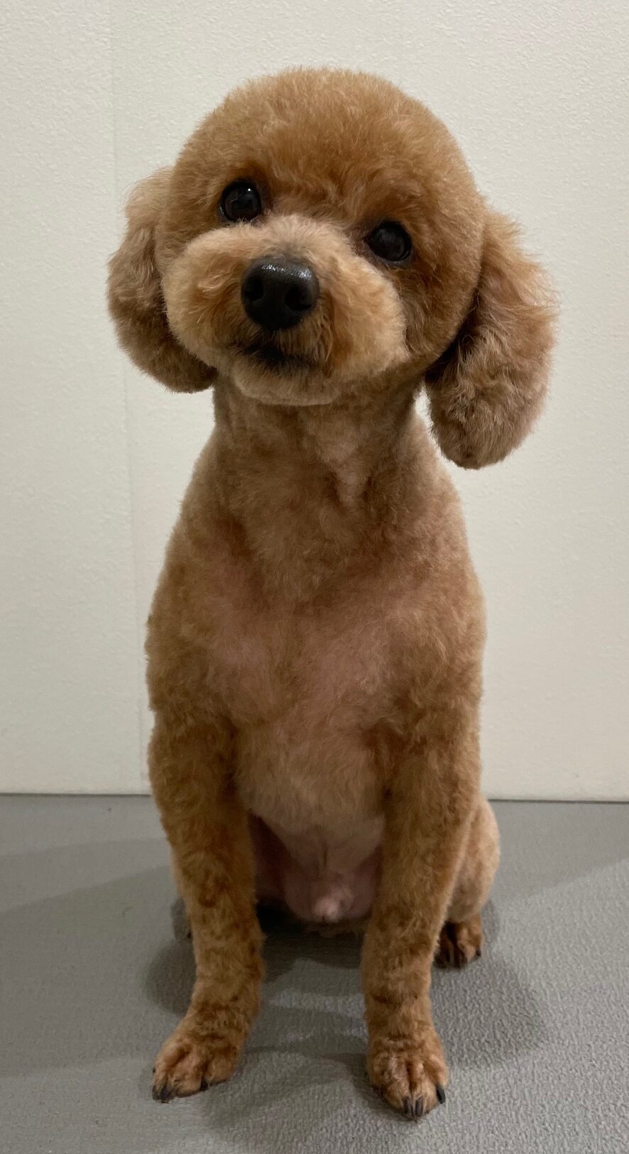 2026-3-3%e6%9d%91%e4%ba%95%e9%a2%a8