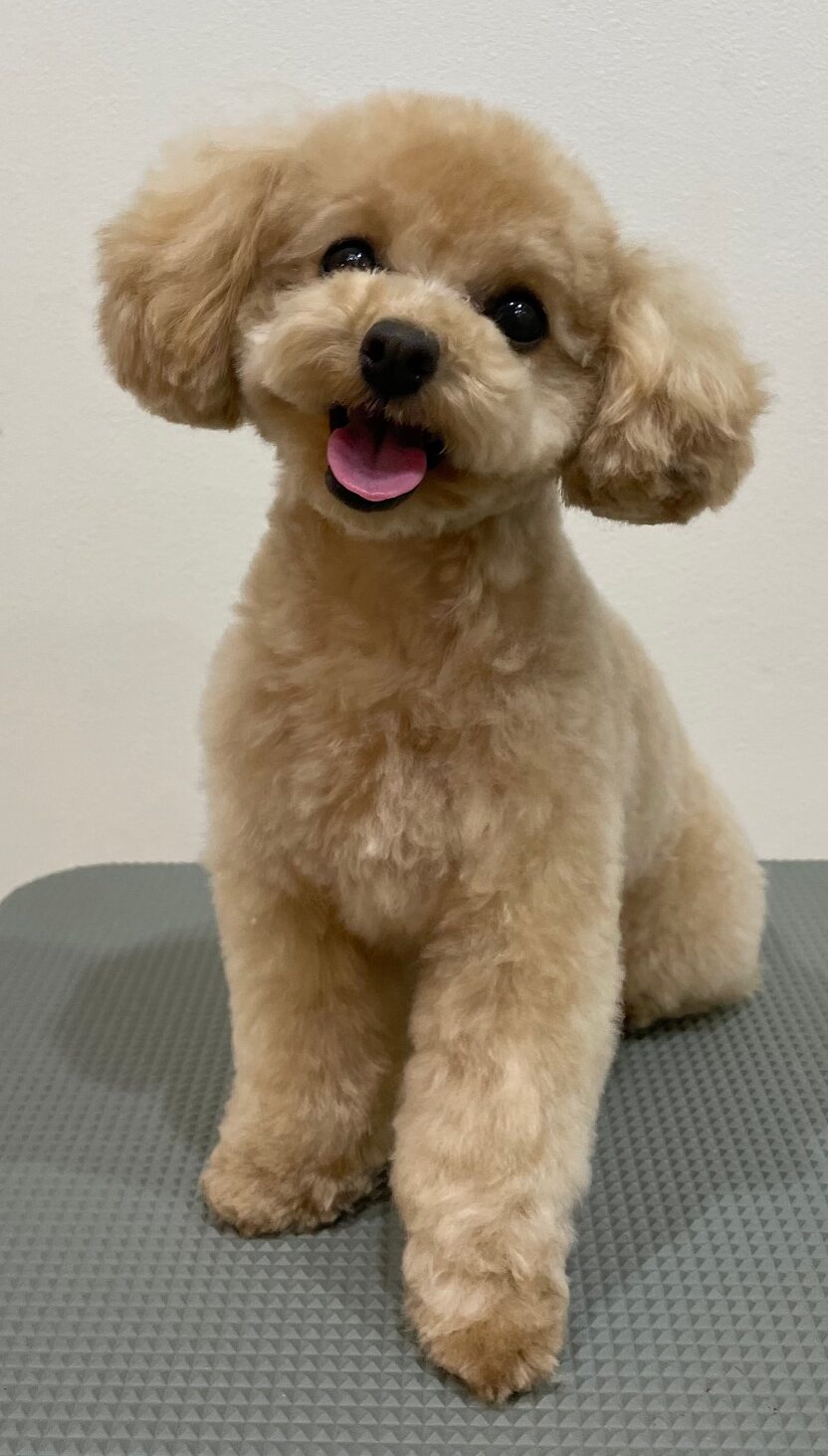 2026-3-3%e9%88%b4%e6%9c%a8%e3%81%95%e3%81%8f%e3%82%89