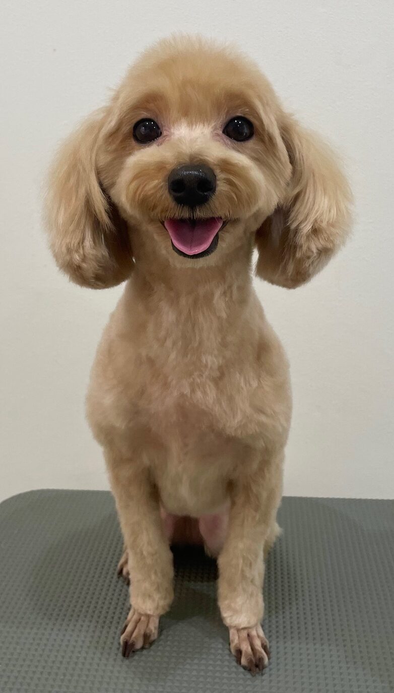 2026-3-4%e5%8f%a4%e5%b7%9dloco