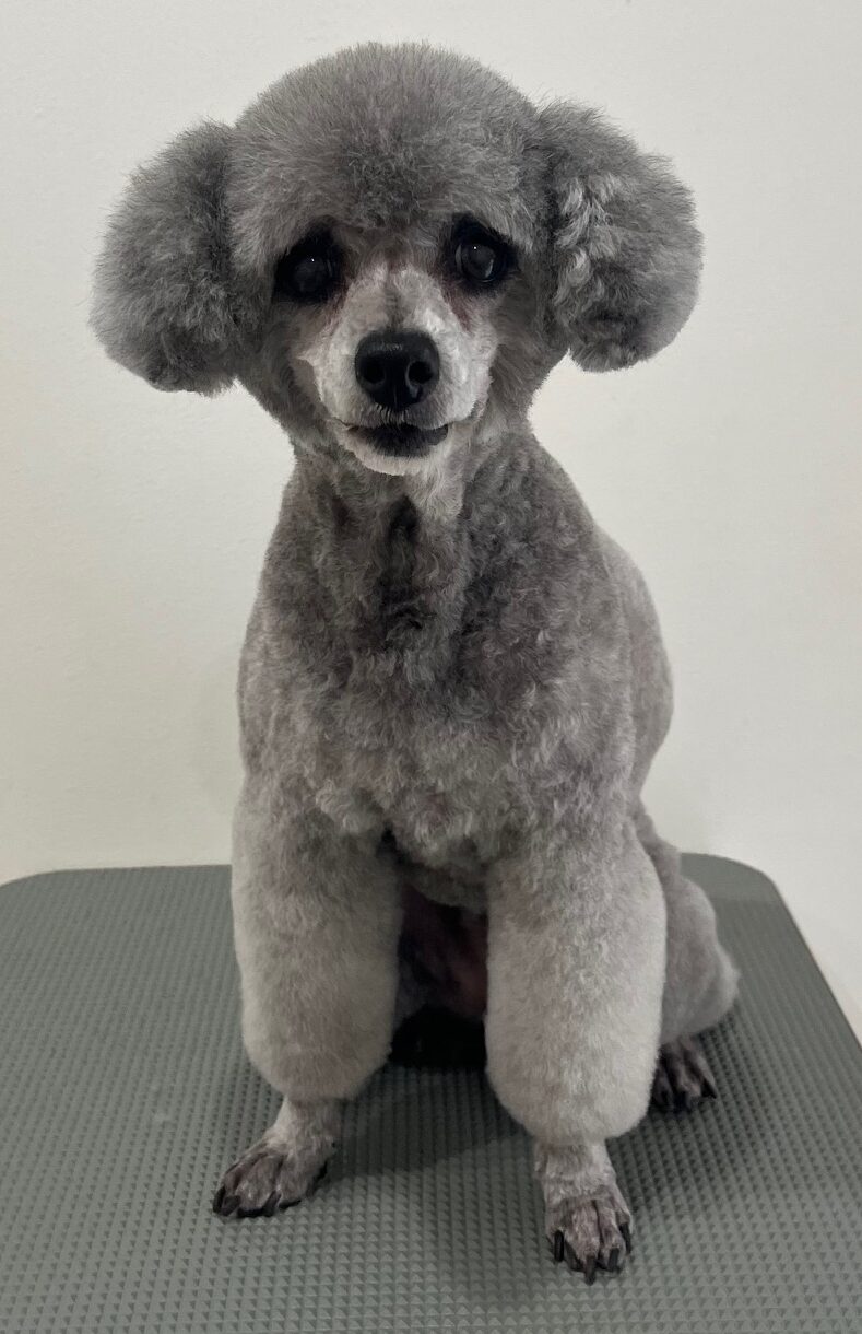 2026-3-4%e5%90%8d%e5%8f%96%e3%82%bd%e3%83%95%e3%82%a3%e3%82%a2