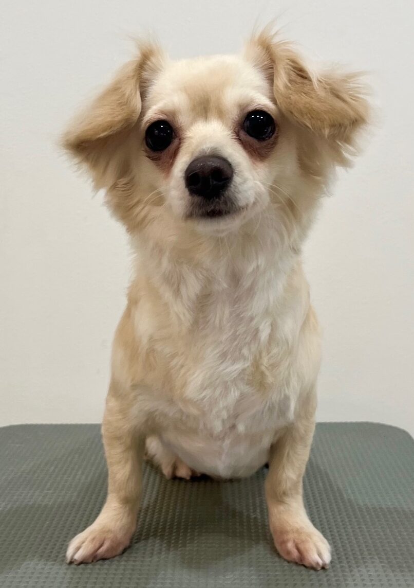 2026-3-4%e5%a4%aa%e7%94%b0%e3%81%b7%e3%82%8a%e3%82%93