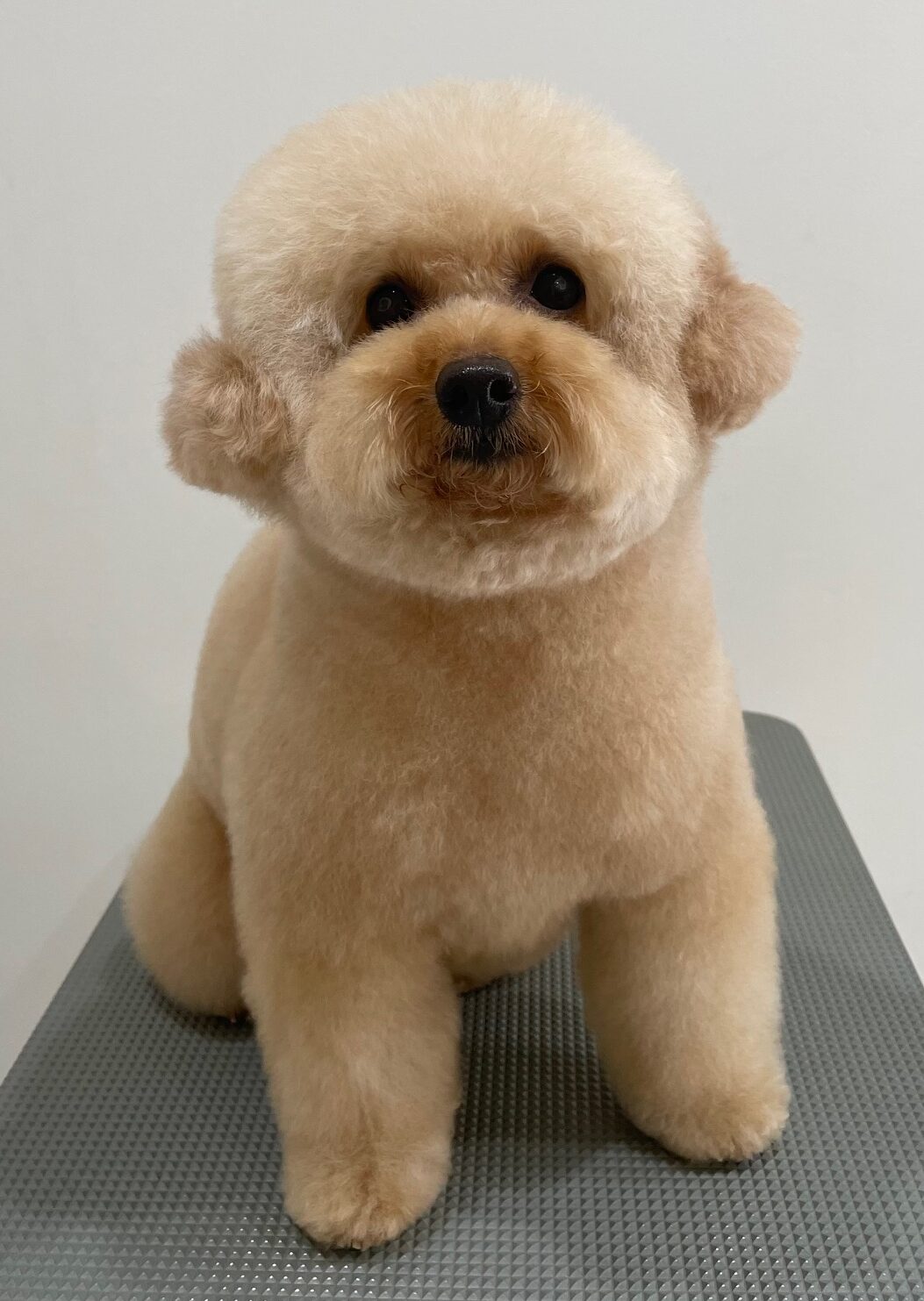 2026-3-4%e5%b0%8f%e6%9e%97%e3%81%b7%e3%81%86