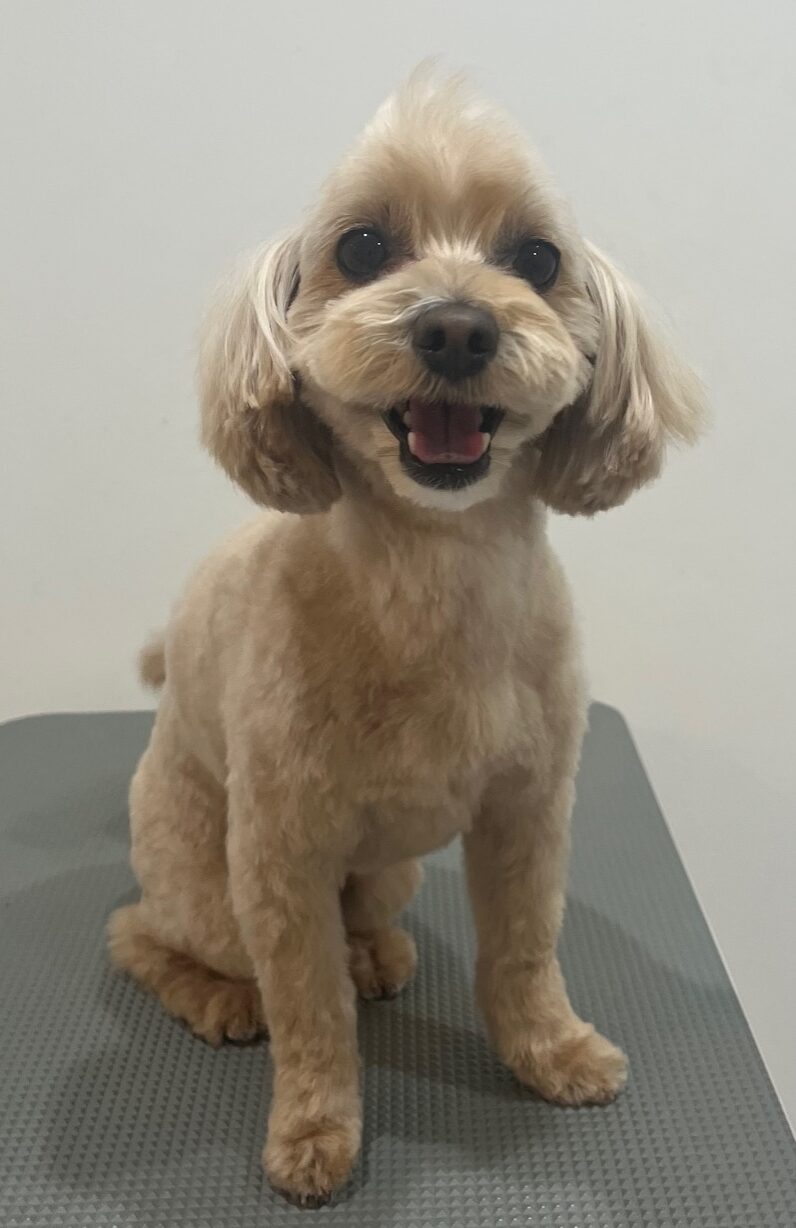 2026-3-4%e7%9f%b3%e4%ba%95%e3%83%9e%e3%83%ad%e3%83%b3