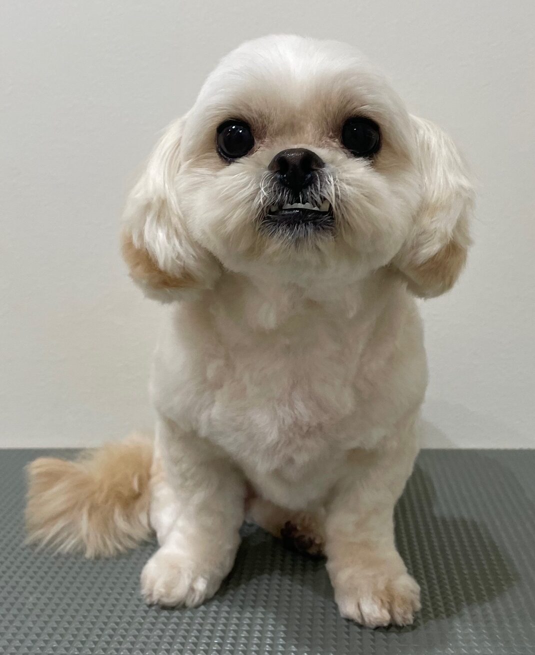 2026-3-4%e7%9f%b3%e9%bb%92%e3%81%8f%e3%81%86