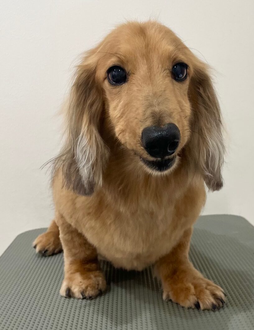 2026-3-6%e5%b0%8f%e6%9d%be%e3%83%a9%e3%83%b3%e3%83%87%e3%82%a3%e3%83%bc