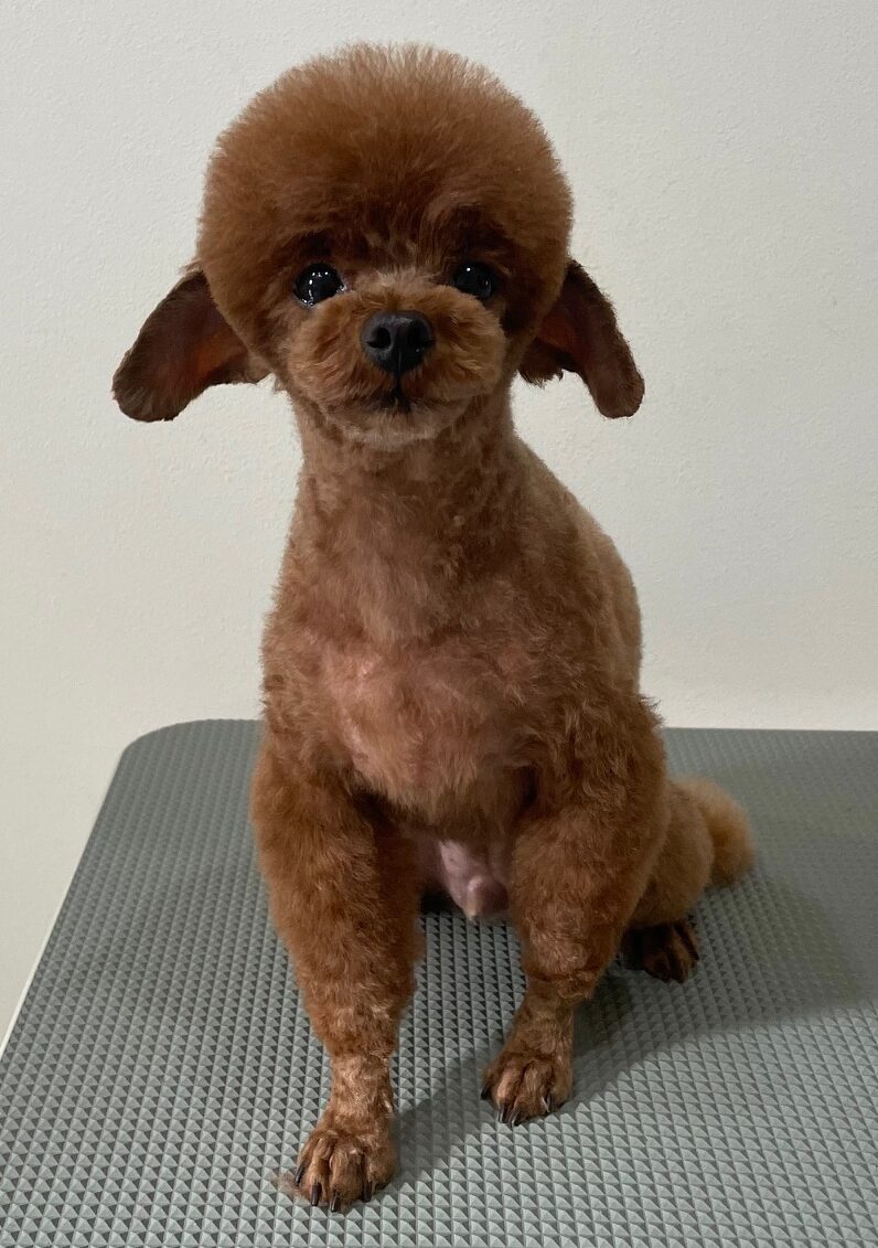 2026-3-6%e5%b0%8f%e6%9e%97%e3%83%97%e3%83%81