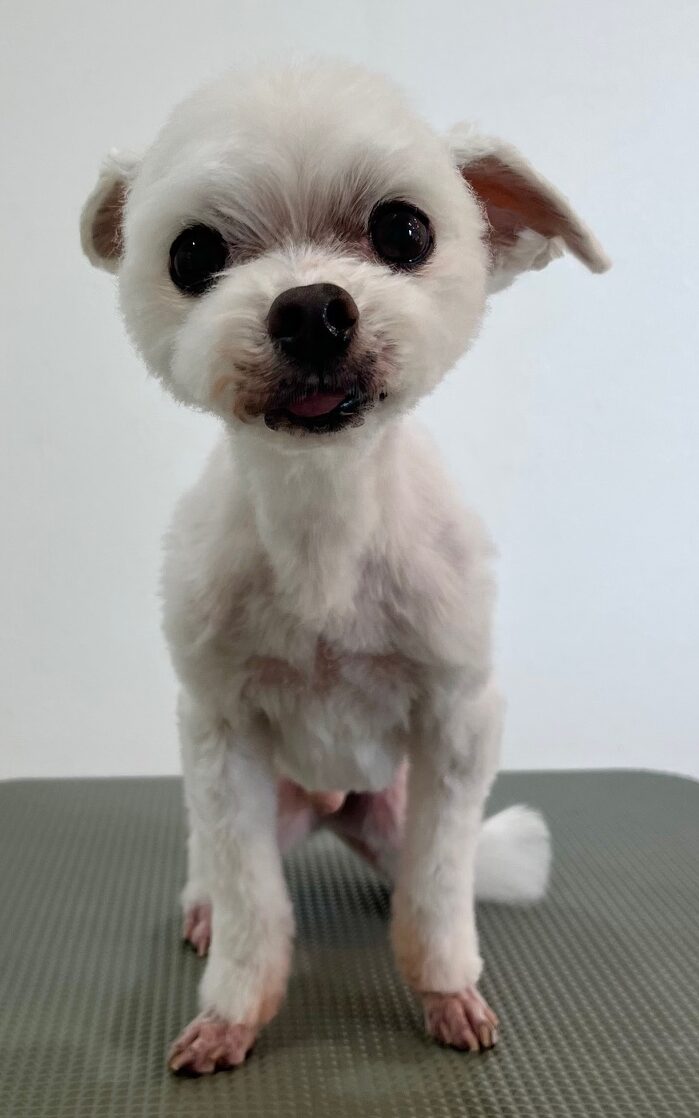 2026-3-6%e9%ab%98%e6%a9%8b%e3%82%b3%e3%82%b3