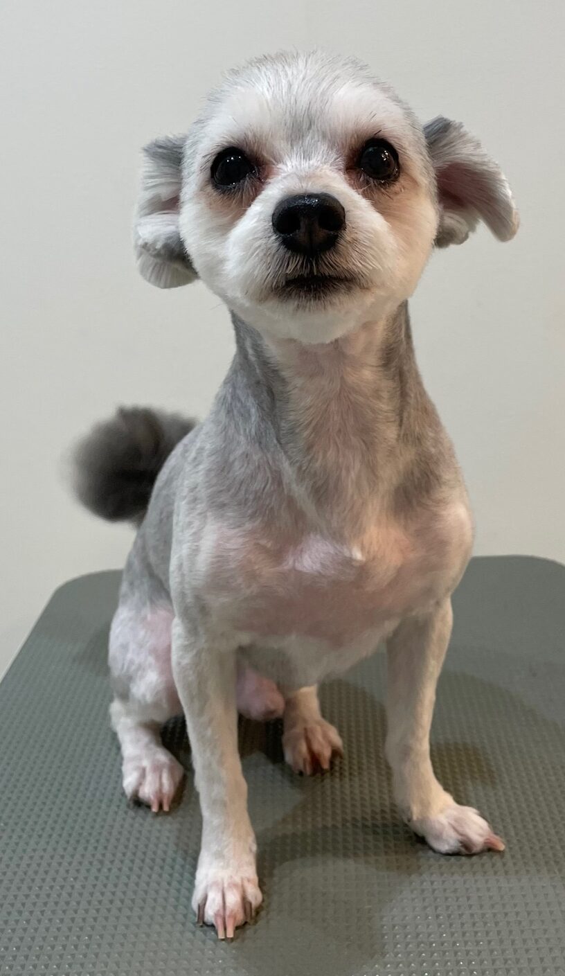 2026-3-8%e5%ae%ae%e6%9c%ac%e9%9f%b3%e6%a1%9c