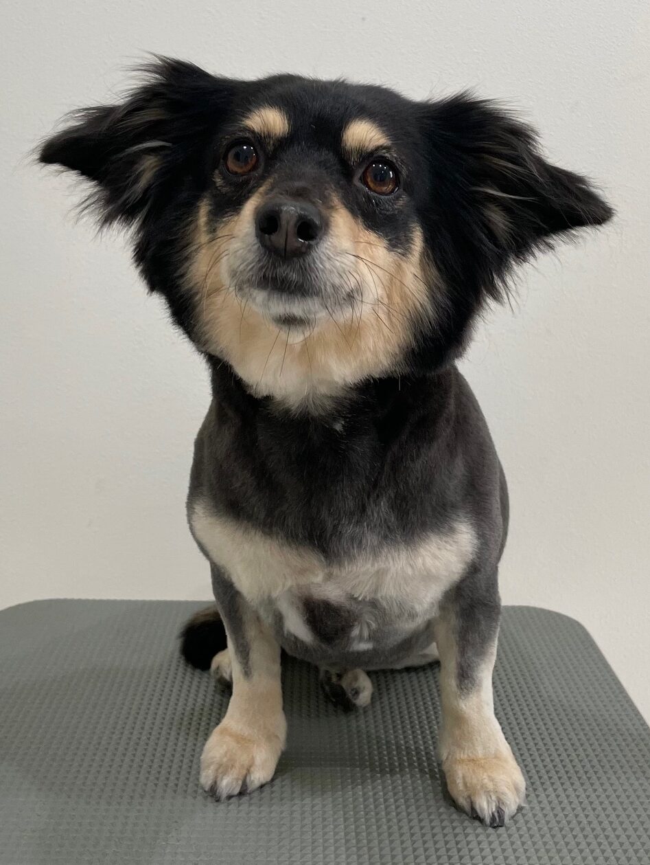 2026-3-8%e5%b1%b1%e5%b4%8e%e3%81%95%e3%81%8f%e3%82%89