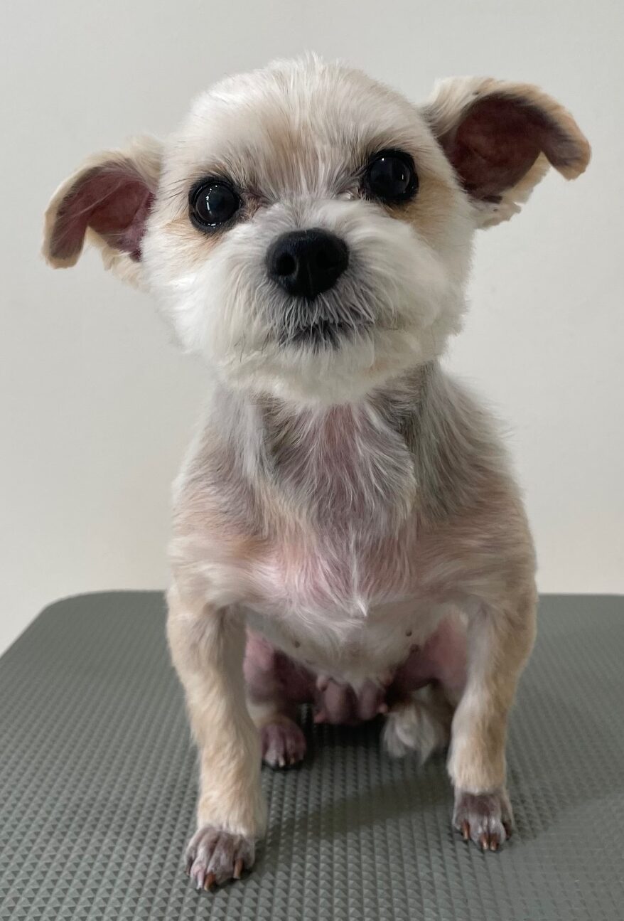 2026-3-9%e5%b0%8f%e6%9d%be%e3%81%82%e3%81%9a%e3%81%8d