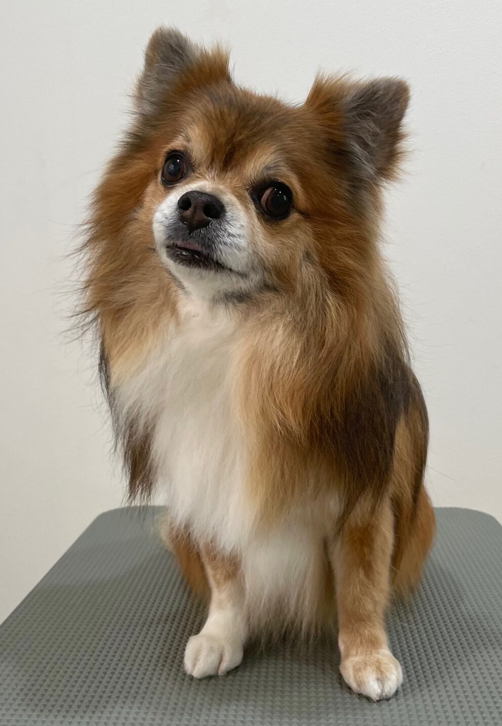 2026-3-9%e7%80%ac%e6%88%b8%e3%83%ab%e3%83%bc%e3%82%af