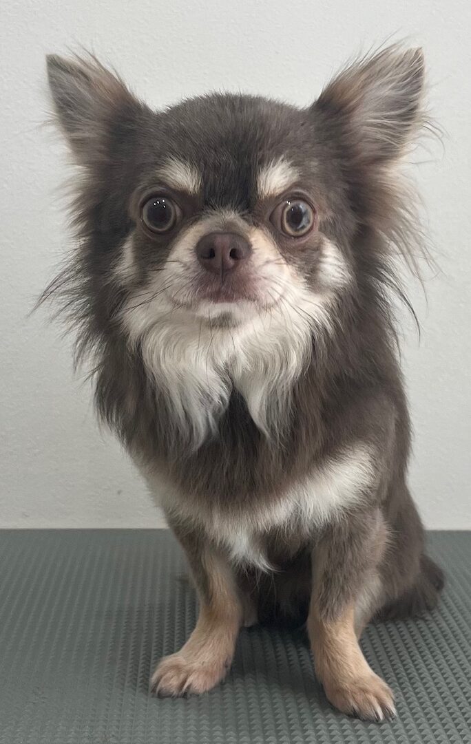 2026-3-9%e7%95%a0%e5%b1%b1%e3%82%ab%e3%83%96