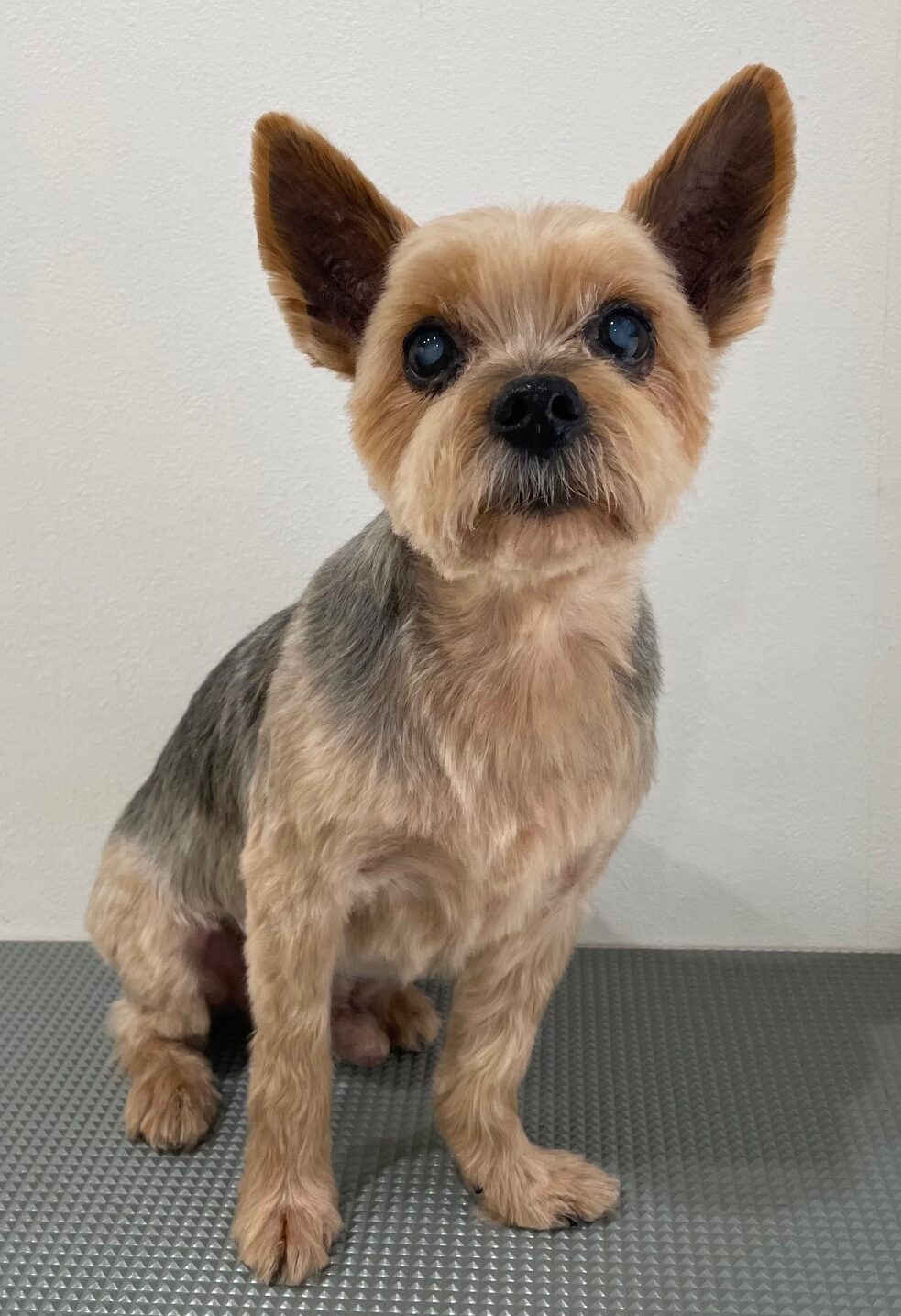 2026-3-9%e9%81%a0%e8%97%a4%e3%82%b3%e3%83%ad