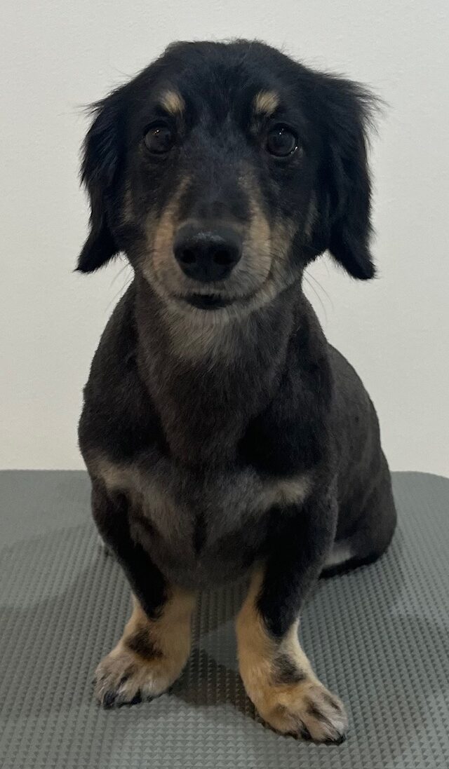 2026-3-25%e6%9d%89%e6%9d%91%e3%82%89%e3%82%93