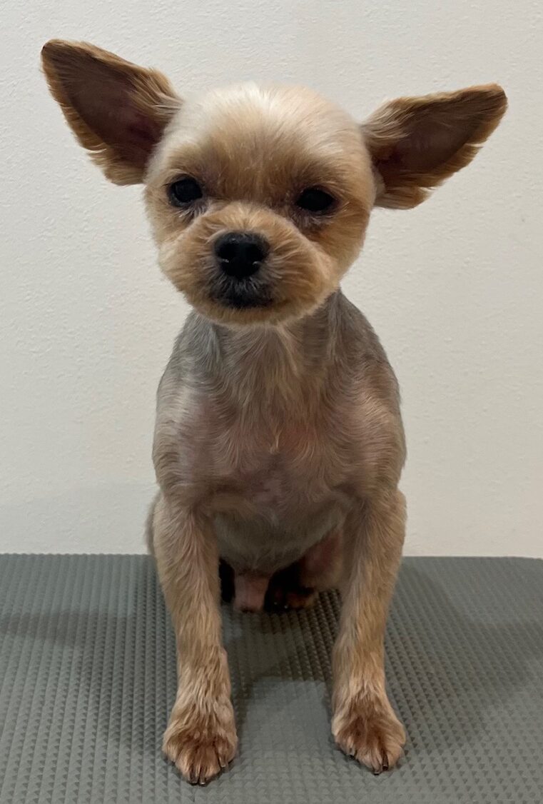 2026-3-25%e8%bf%91%e8%97%a4%e6%96%b0%e5%85%ab