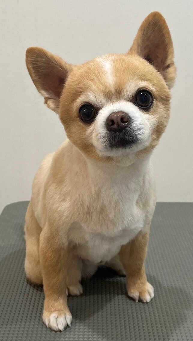 2026-3-25%e9%87%8e%e8%b7%af%e5%a4%8f%e5%a8%81%e6%96%97