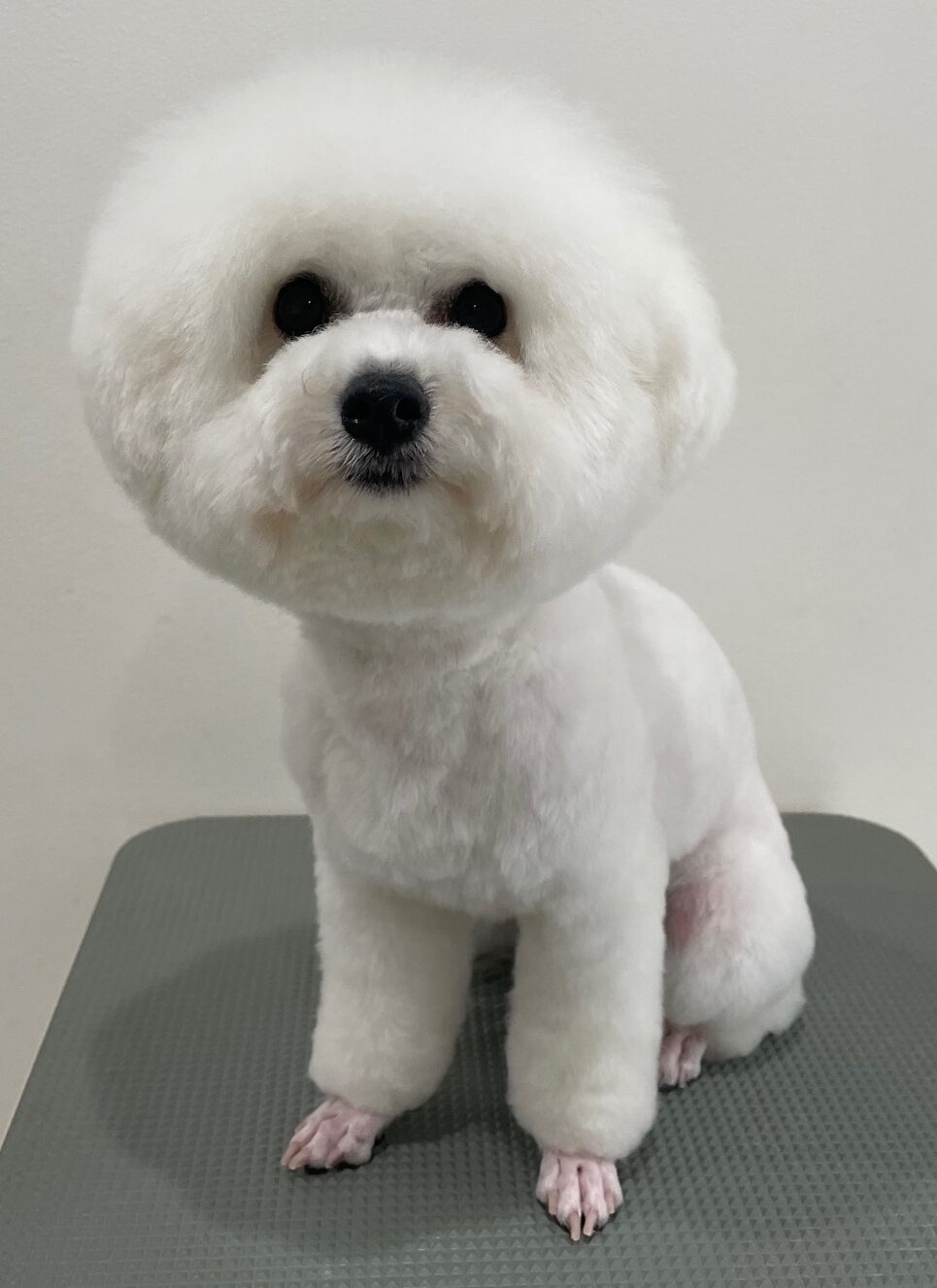 2026-3-27%e4%ba%95%e4%b8%8a%e3%81%86%e3%82%8b%e3%82%8b