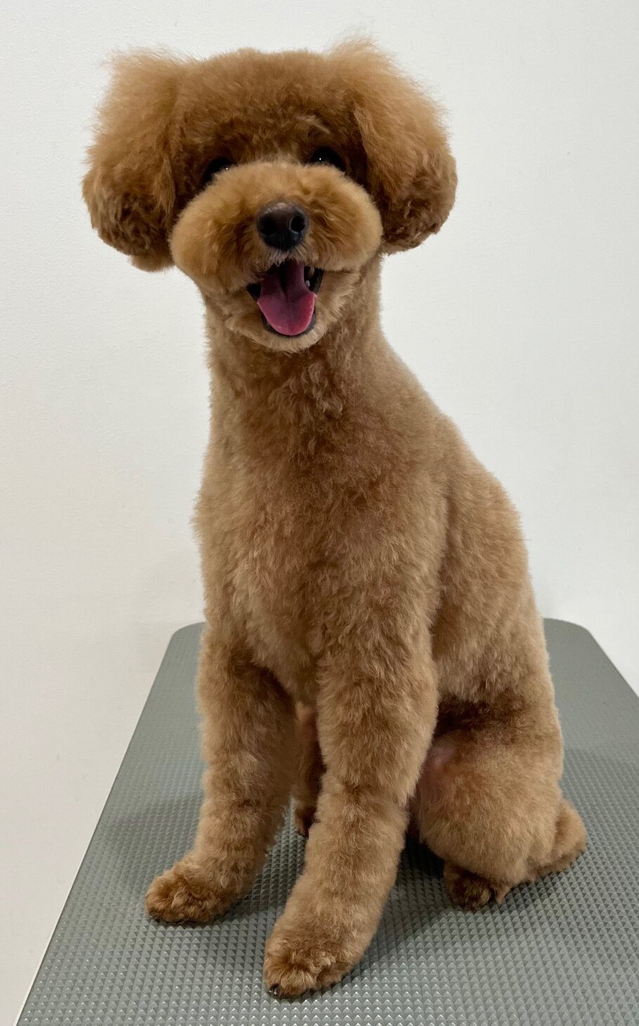 2026-3-27%e4%bc%8a%e8%b1%86%e5%b7%9d%e7%a9%ba%e6%9d%a5