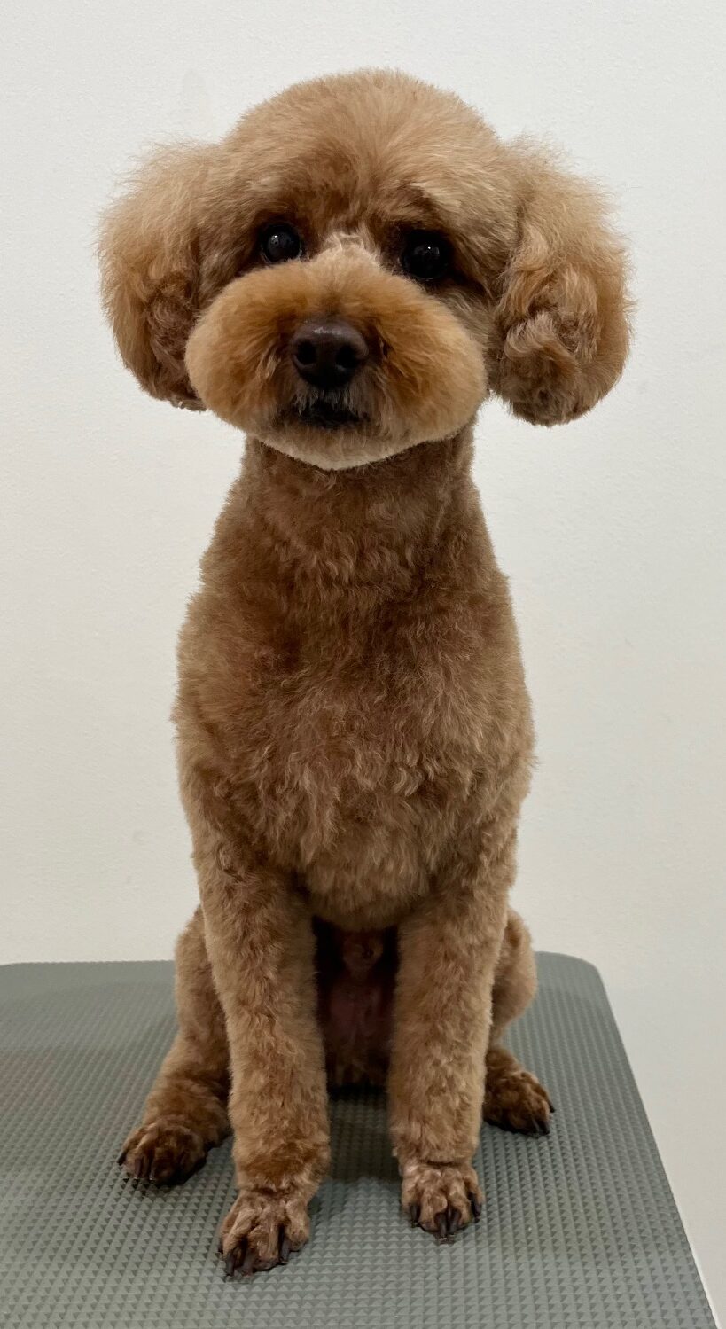 2026-3-27%e6%b8%a1%e9%82%89%e3%81%ad%e3%82%8b