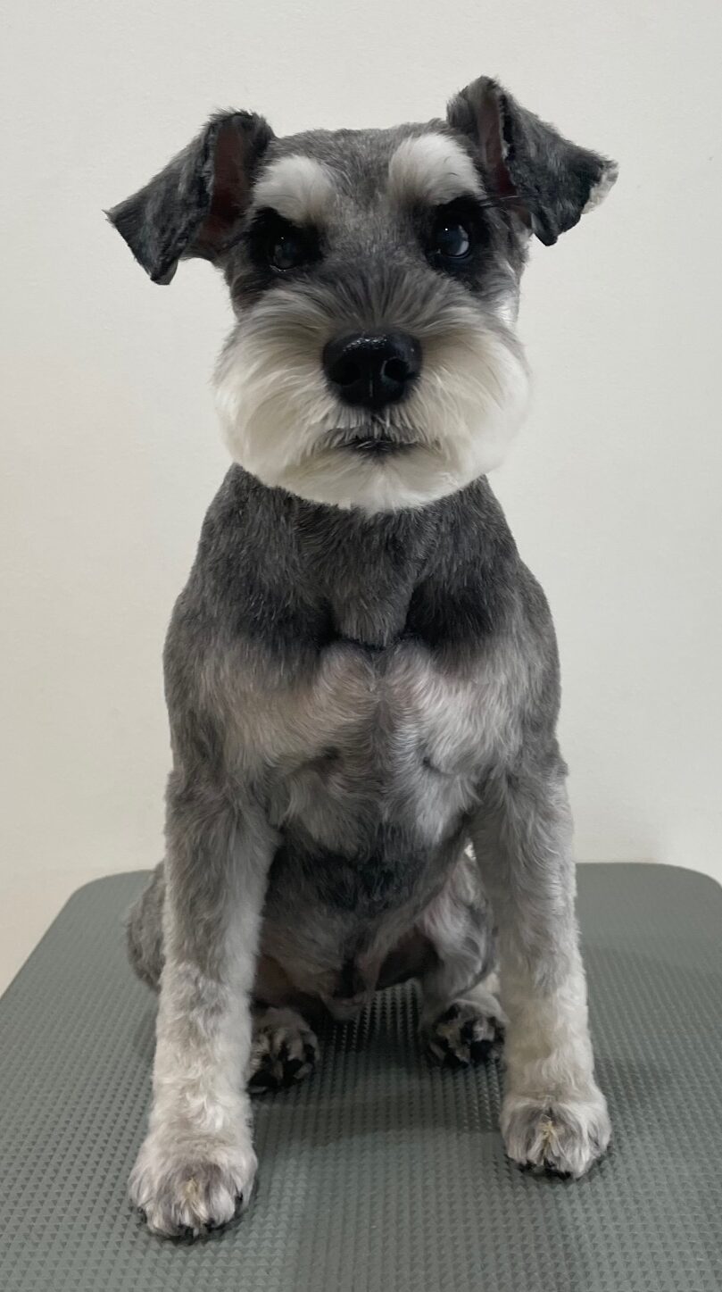 2026-3-29%e5%b0%8f%e6%b1%a0%e3%82%a2%e3%83%bc%e3%82%b9