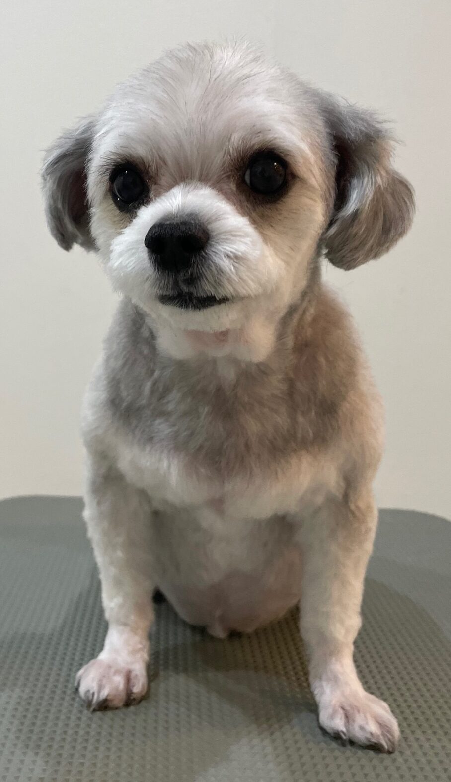 2026-3-29%e6%9c%ac%e7%94%b0%e9%bb%92%e4%b8%b8