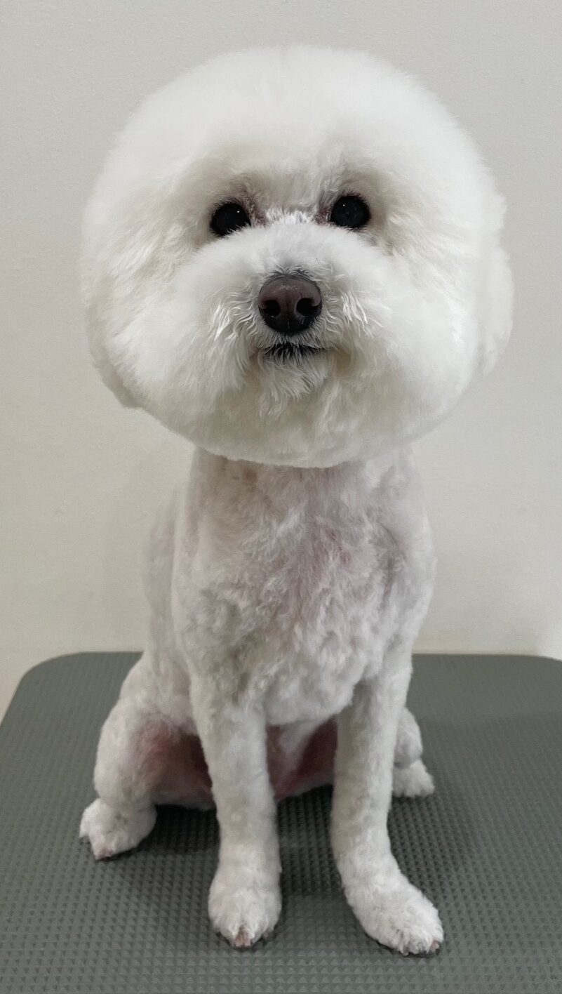 2026-3-29%e6%b0%b8%e4%ba%95%e3%83%ab%e3%83%ab