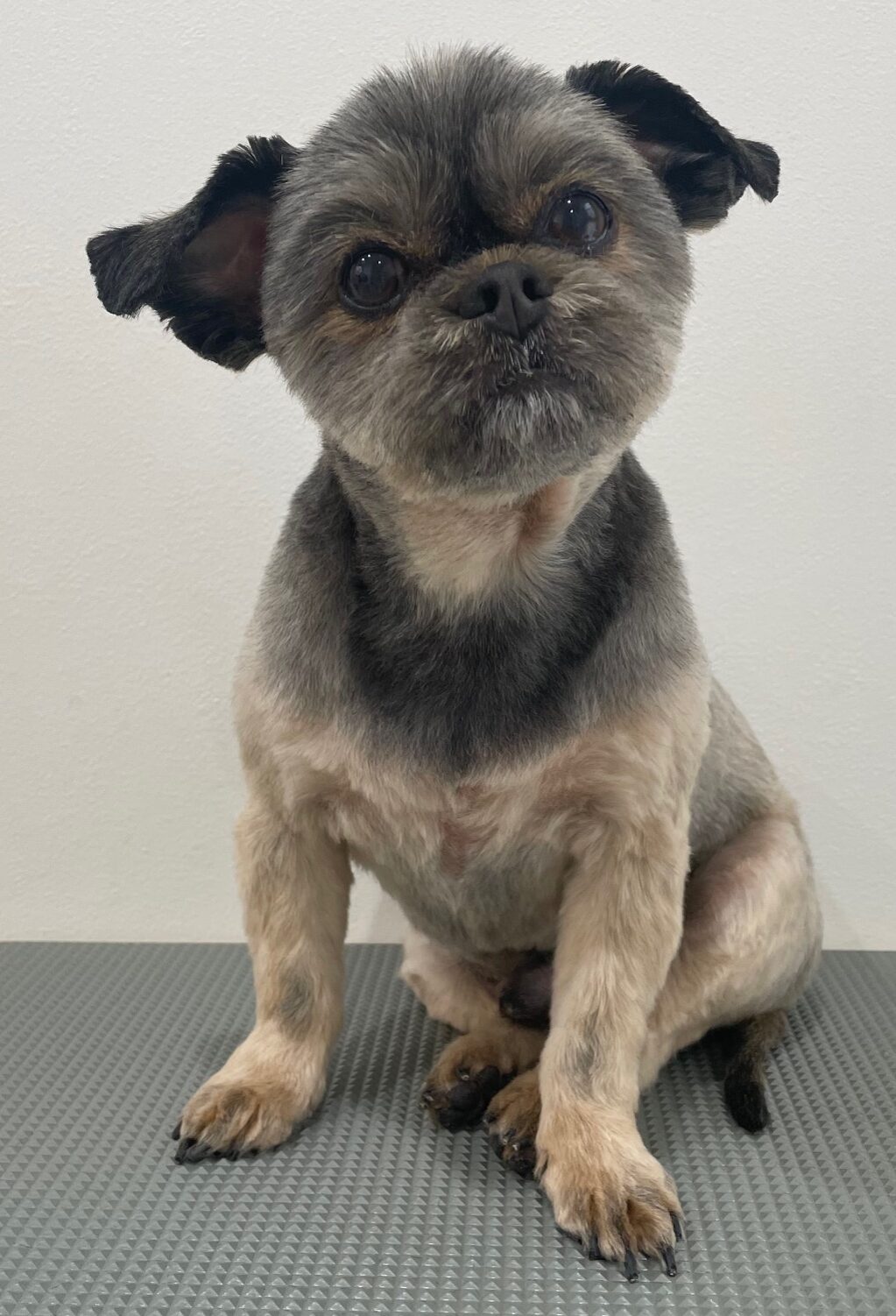 2026-3-30%e4%ba%80%e5%b1%b1%e3%83%9d%e3%83%b3%e5%a4%aa