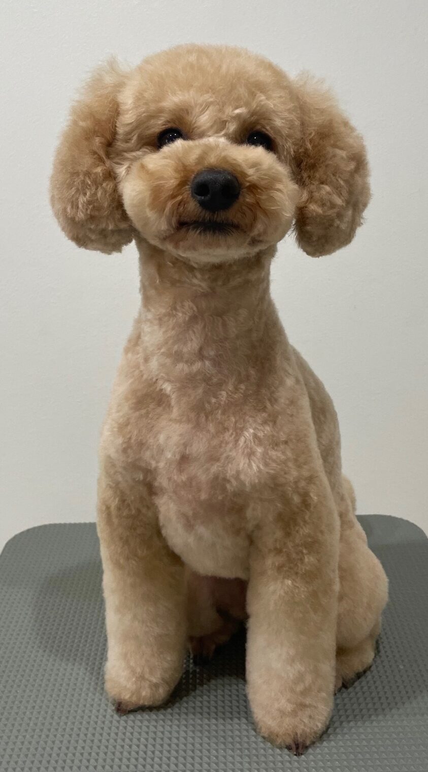 2026-3-30%e5%87%ba%e9%87%8e%e3%82%82%e3%82%82%e3%81%8b