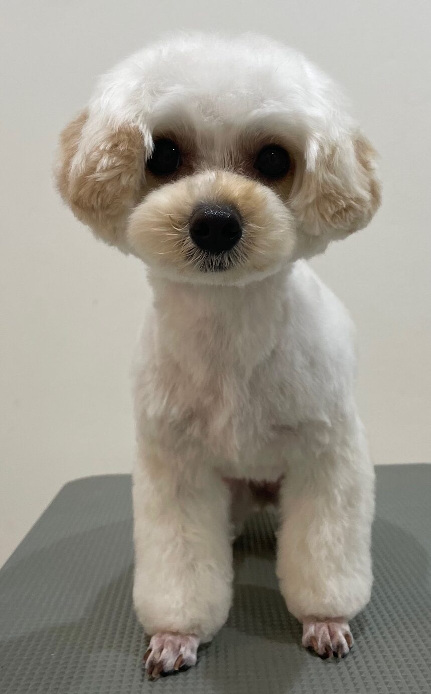 2026-3-30%e5%b0%8f%e5%80%89%e3%81%93%e3%81%be%e3%82%81