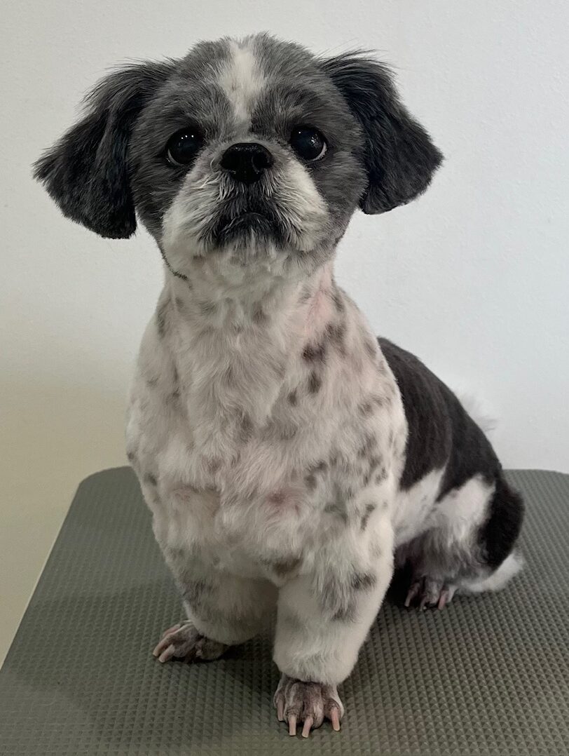 2026-3-30%e5%b0%8f%e9%87%8e%e3%83%9d%e3%82%b3