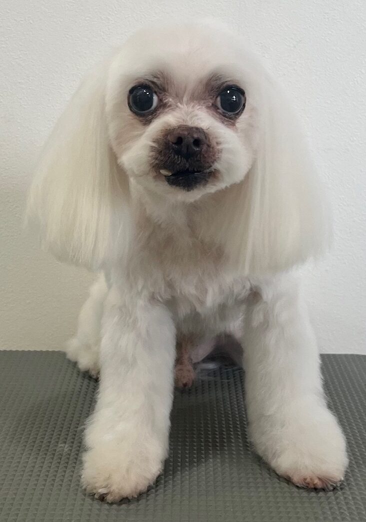 2026-3-30%e9%95%b7%e7%94%b0%e3%83%9e%e3%83%ab