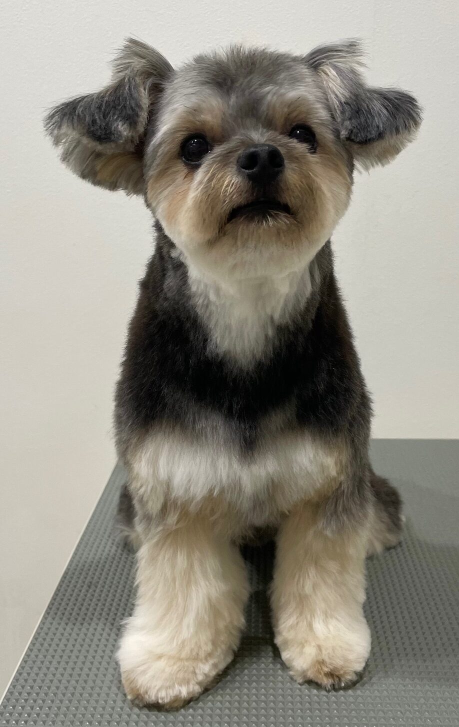 2026-3-31%e4%b8%ad%e9%87%8e%e3%83%a1%e3%82%b0