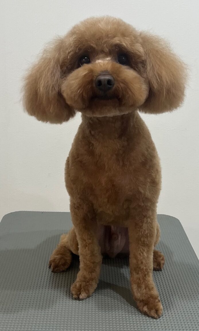 2026-3-31%e4%bc%8a%e6%9d%b1%e3%83%ac%e3%82%a2