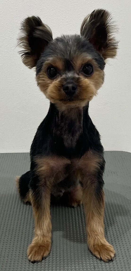 2026-3-31%e6%9d%be%e6%b5%a6%e3%82%82%e3%81%93