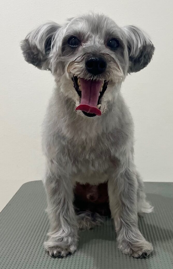 2026-3-31%e9%ab%99%e6%a9%8b%e3%82%af%e3%83%bc